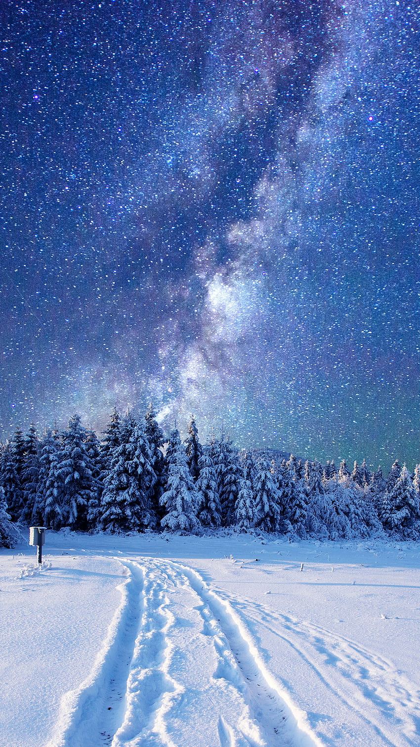 forest, snow, winter, sky, stars, night, Nature, winter night vertical HD phone wallpaper