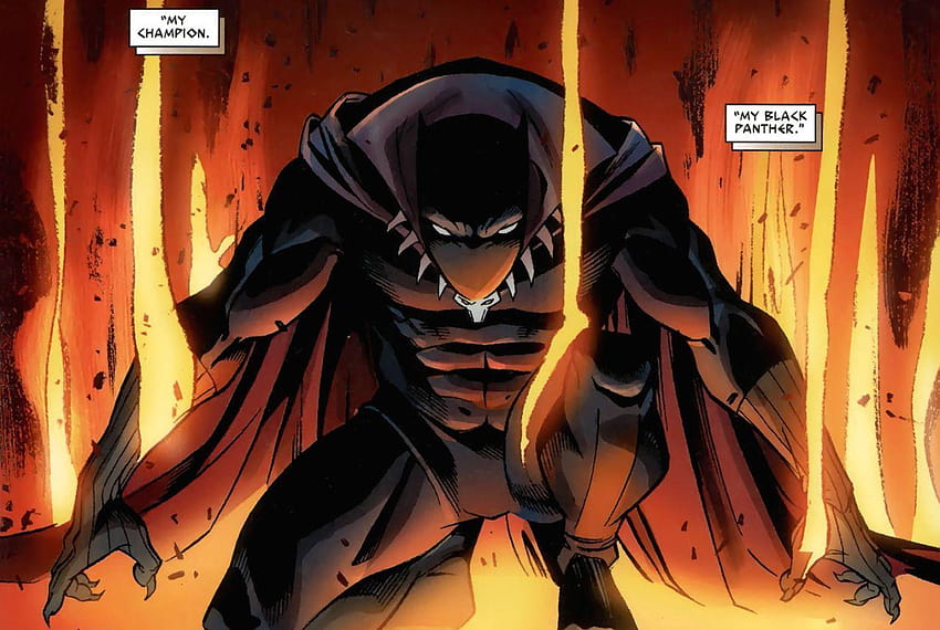 Black Panther in Captain America: Civil War, an explainer, wakanda HD  wallpaper | Pxfuel