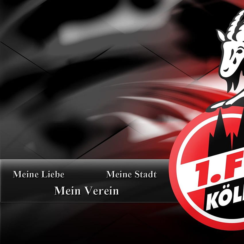 1 FC Köln 1024x1024 iPhone / Hintergrundbild, 1 fc koln wallpaper ponsel HD