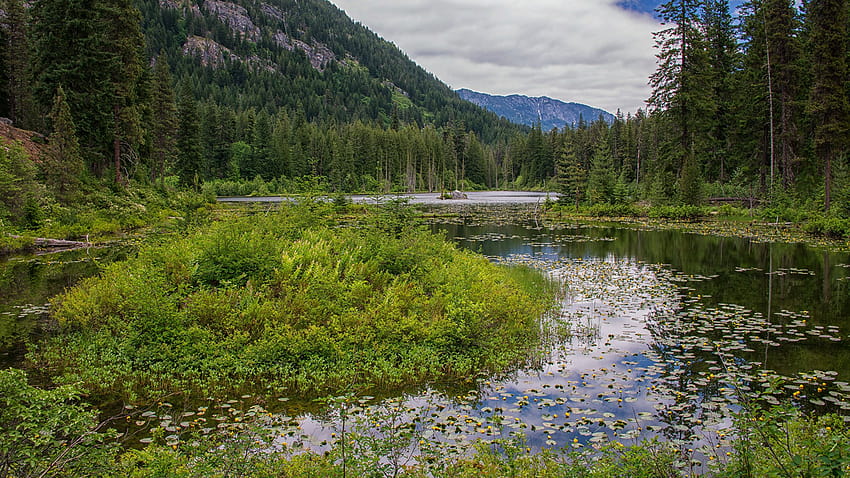 USA Howard Lake North Cascades National Park Nature 2560x1440 HD wallpaper