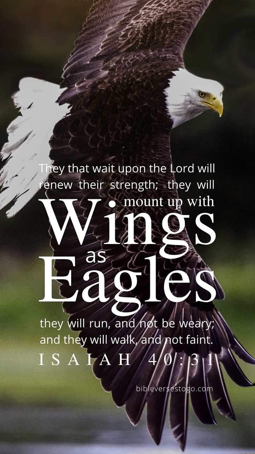 Águila calva Isaías 40:31 Teléfono fondo de pantalla del teléfono