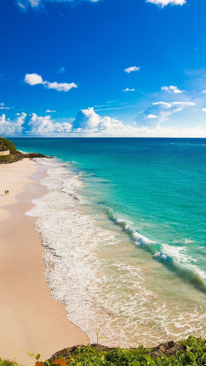 Beach, blue sea, sunshine, tropical 1242x2688 iPhone 11 Pro/XS Max