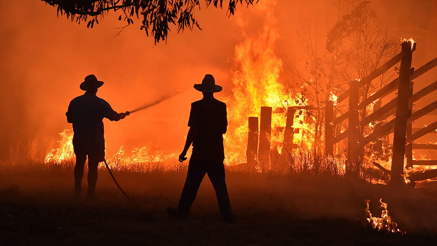 In Australia, Stubborn Fires Shroud Cities In Smoke, Char Terrain And Menace Koalas, bushfire HD wallpaper