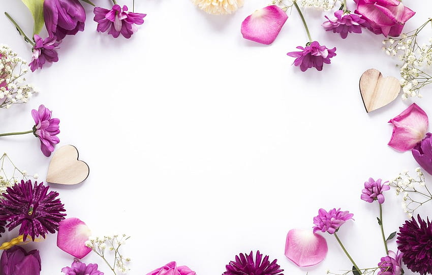 bunga, bingkai, kelopak, bunga, ungu, kelopak, bingkai, kelopak bunga ungu Wallpaper HD