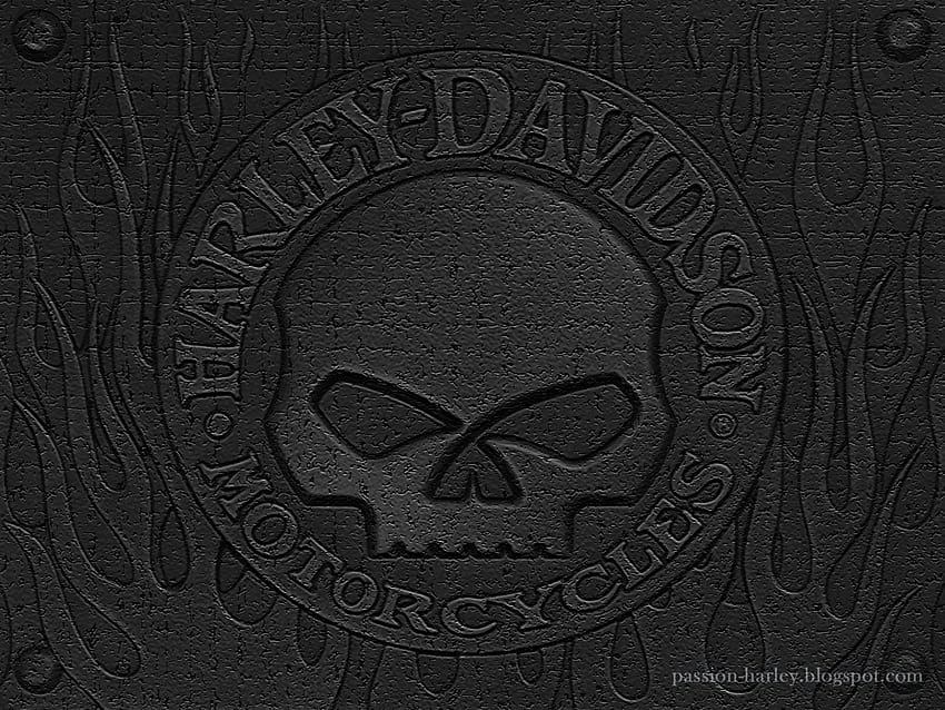 Logo Harleya, logo Harleya Davidsona Tapeta HD