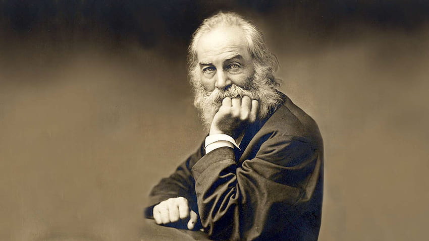 Ver En busca de Walt Whitman fondo de pantalla