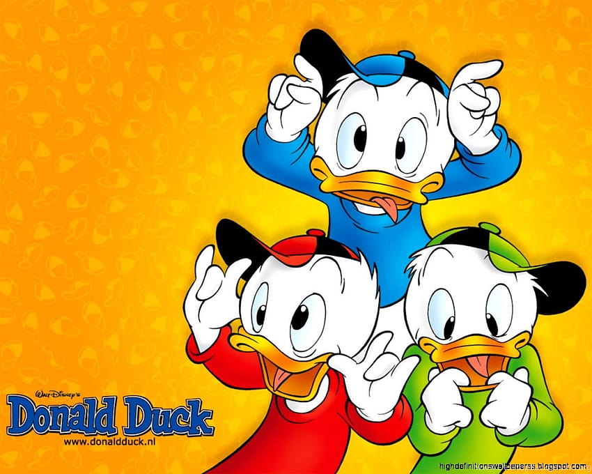 Cartoon Donald Duck Backgrounds HD wallpaper | Pxfuel