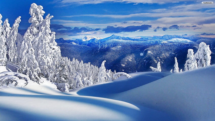 wunderbare Winterlandschaft HD-Hintergrundbild
