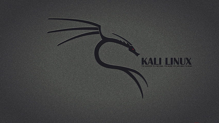 Kali Linux 1920x1080 HD wallpaper