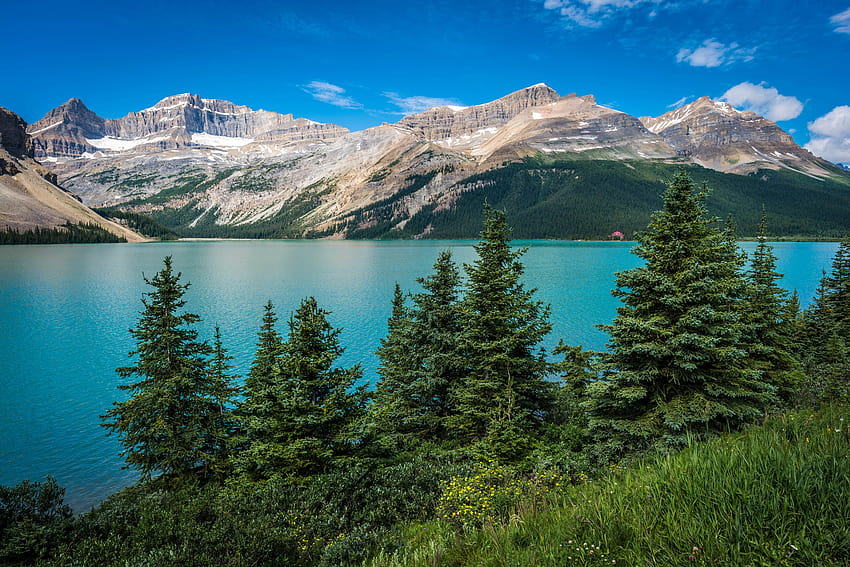 Bow Lake, Parque Nacional de Banff, Herbert Lake, Parque Nacional de Banff, Canadá papel de parede HD