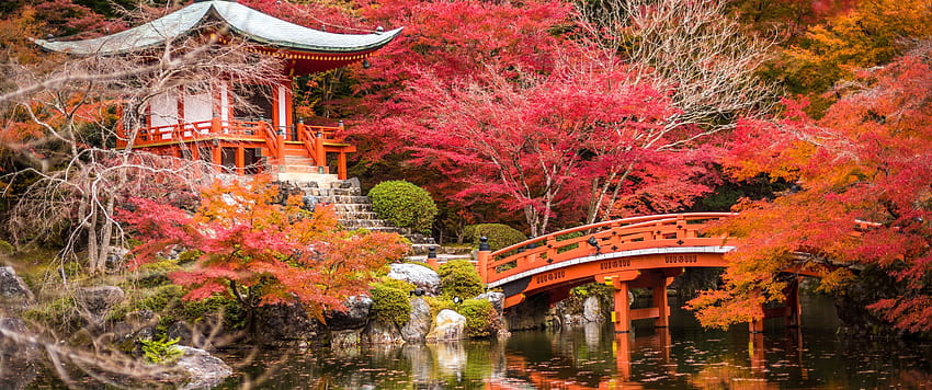 3440x1440 Japão, santuário, pagode, ponte, riacho, folhagem, parque, outono, outono 3440x1440 papel de parede HD