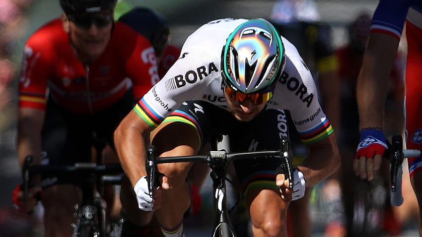 Tour de France: Peter Sagan shouldn't have been disqualified HD wallpaper