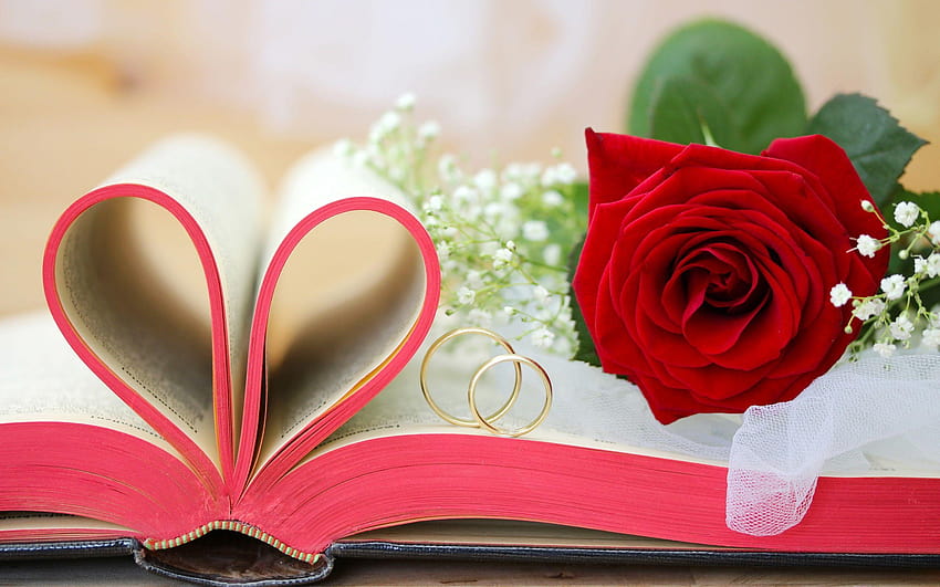 Red flowers, roses, Valentine's Day, book, love hearts, rings, red flower love HD wallpaper