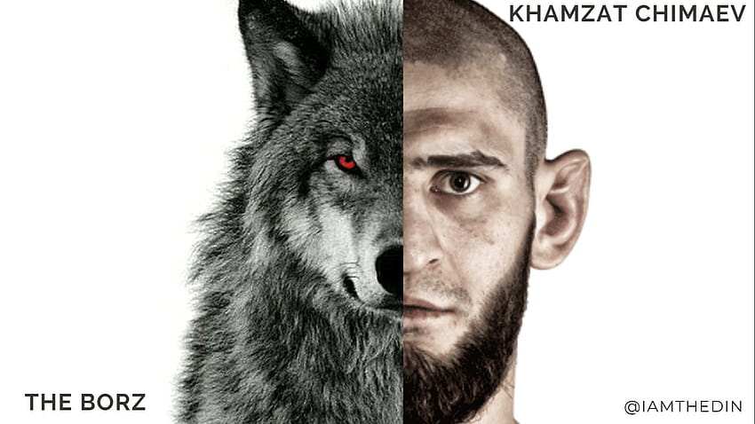Khamzat Chimaev grunge art Swedish fighters MMA UFC Mixed martial  arts HD wallpaper  Peakpx