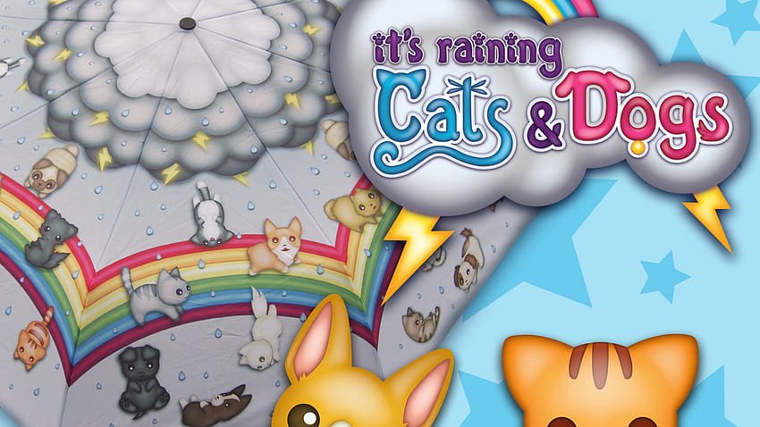 Raining Cats and Dogs: The Cutest ...kickstarter HD wallpaper