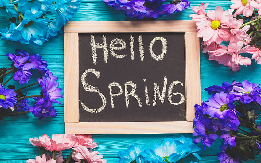 Hello spring, spring flowers, season, spring concepts, blue wood backgrounds with resolution 2880x1800. High Quality, hello spring purple HD wallpaper