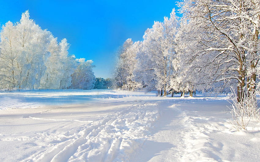 จาก Earth Seasons Winter พร้อมแท็ก: Blue, Scenic, Tree, Snow, Winter, iMac, Earth winter วอลล์เปเปอร์ HD