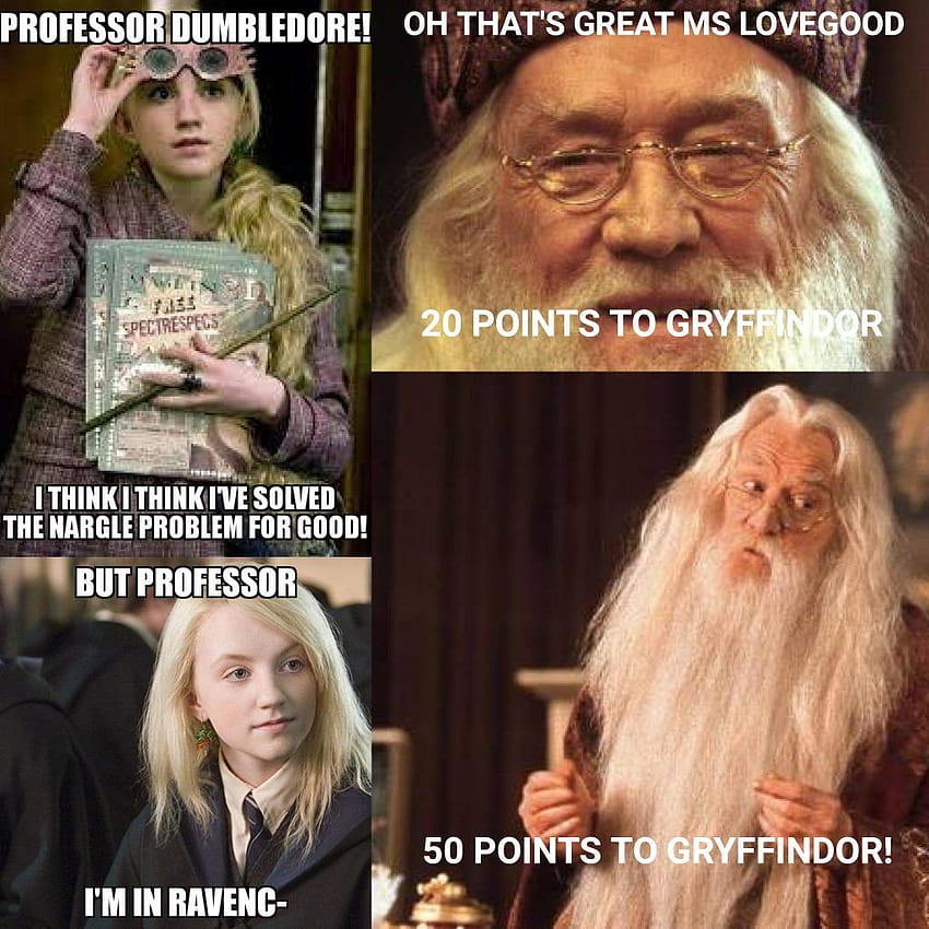Top 23 Harry Potter Memes Dumbledore HD phone wallpaper