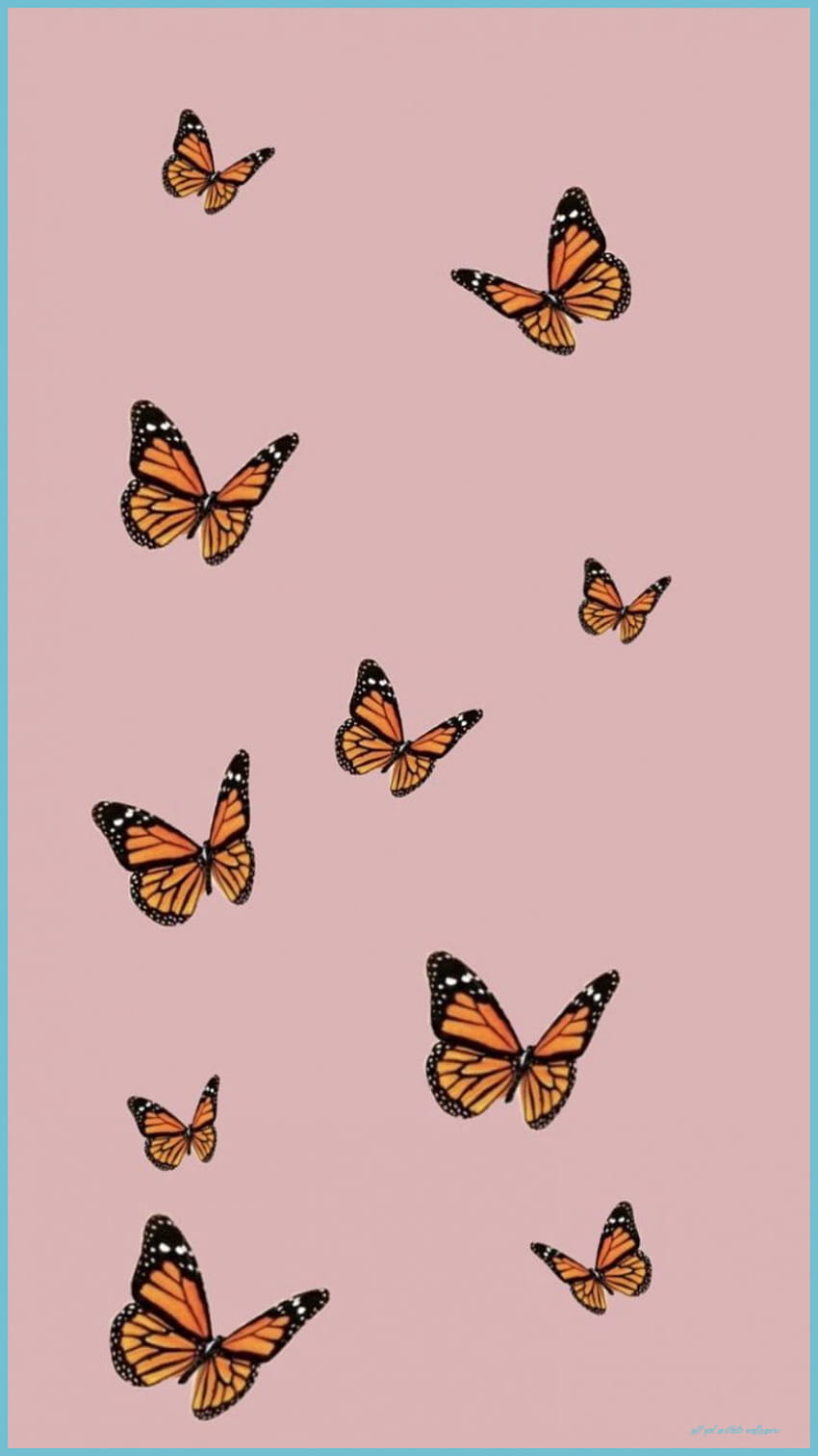 Soft Girl Aesthetic Butterfly Lock Screen Iphone In HD phone wallpaper