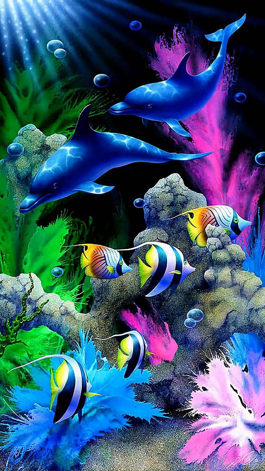 Fish colors by enirti, colour fish HD phone wallpaper