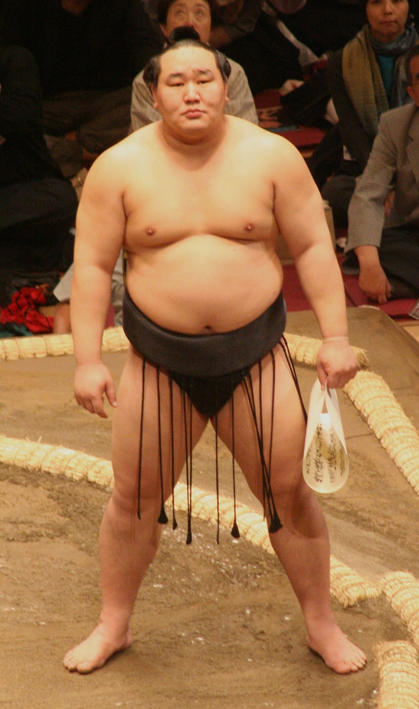 Sumo Wrestler High Quality, sumo wrestlers HD phone wallpaper