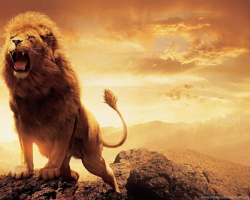 ライオンの危険に見える背景 高画質の壁紙