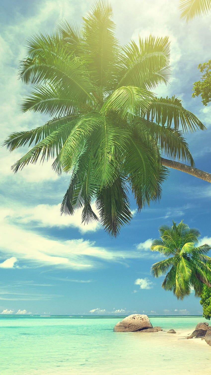 Summer Tropical Paradise For Iphone 11 Pro Max X 8 7 6 Summer Paradise Hd Phone Wallpaper Pxfuel