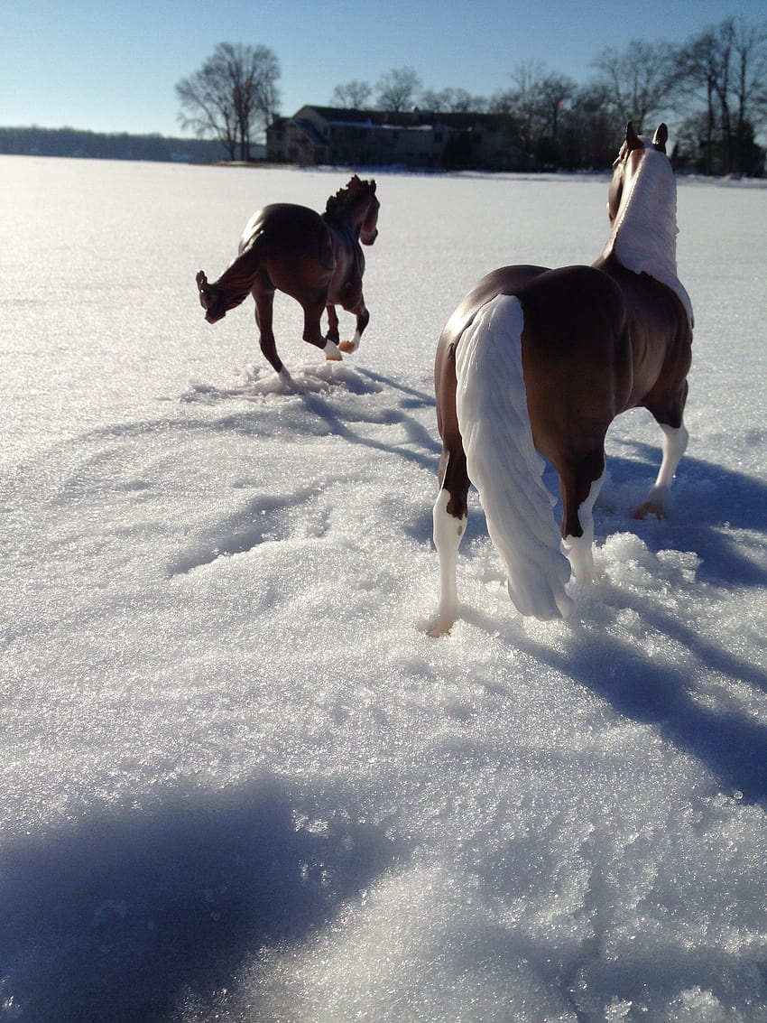 Gráfico del caballo de Breyer en el lago congelado :) //Wow, tuve que mirar dos veces. Pensé que eran verdaderos EL//, caballo del lago de invierno fondo de pantalla del teléfono