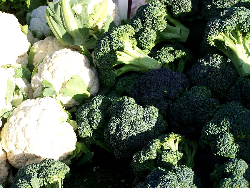 green and white broccoli and cauliflower lot HD wallpaper