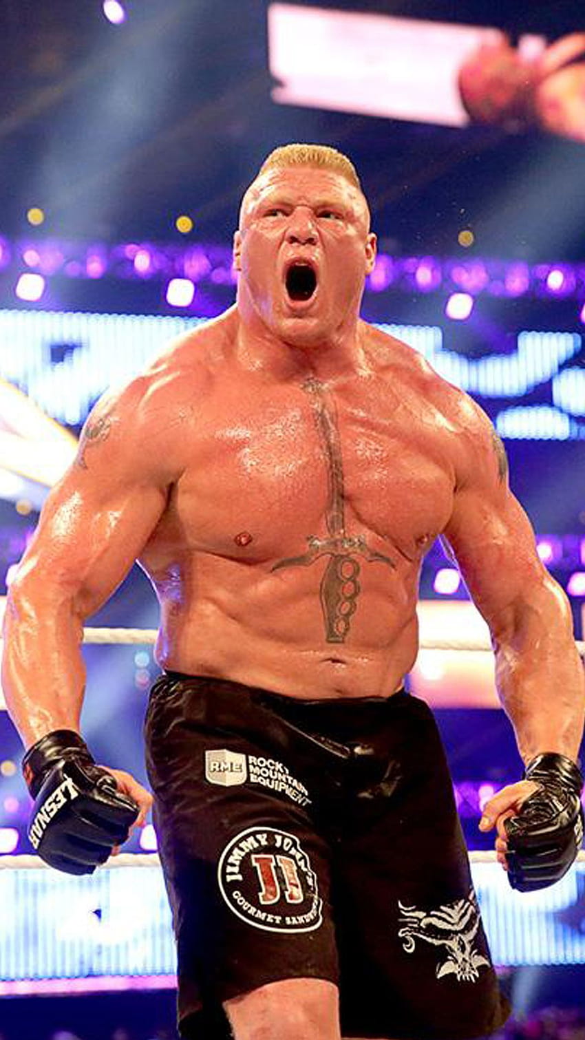Brock Lesnar Wwe-Hintergründe > Flip >, Brock Lesnar ufc iphone HD-Handy-Hintergrundbild