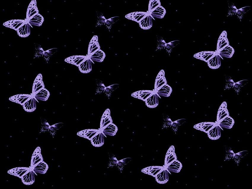 Schwarze und lila Schmetterlinge auf Hund, lila ästhetischer Schmetterling HD-Hintergrundbild