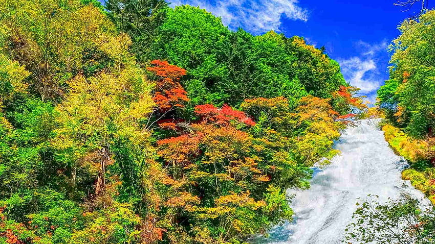 Autumn Colors in Nikko: 12 Places that will Take Your Breath, autumn oak leaves on the river HD wallpaper