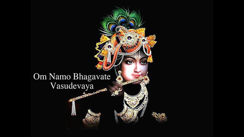 Om Namo Bhagavate Vasudevaya HD wallpaper
