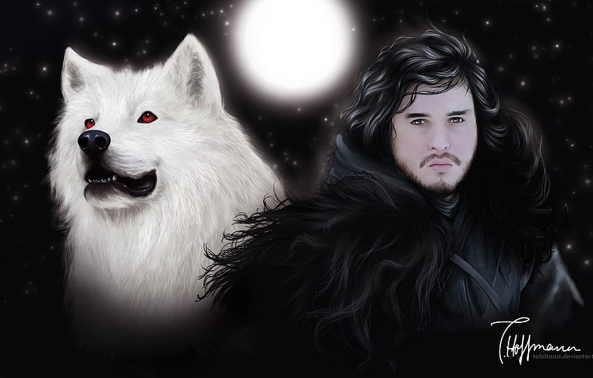 White, Ghost, Game of Thrones, Jon Snow, Kit Harington, HBO, darewolf ...