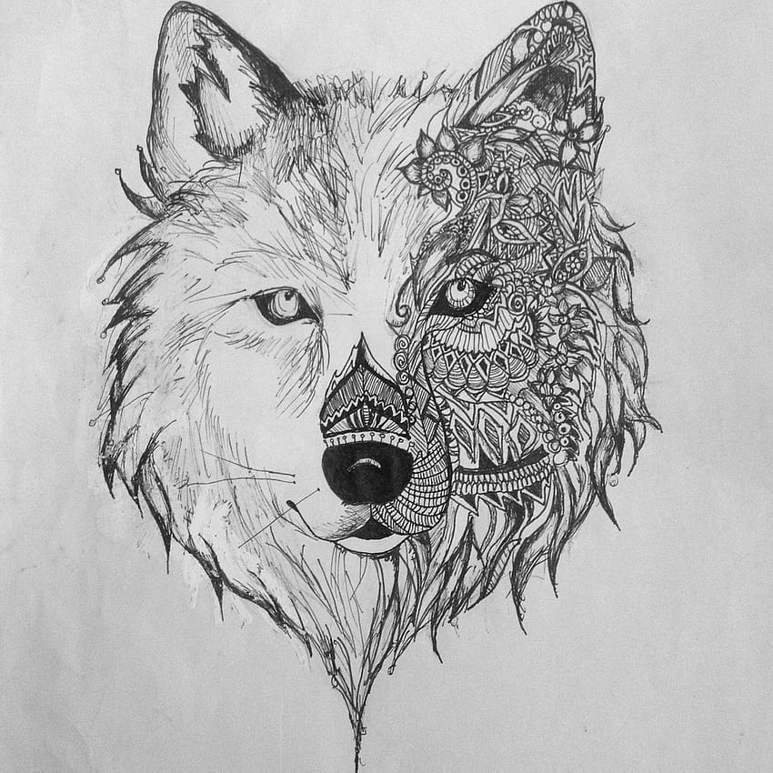 Dibujo geométrico de lobo en PaintingValley, dibujos de lobos fondo de pantalla del teléfono