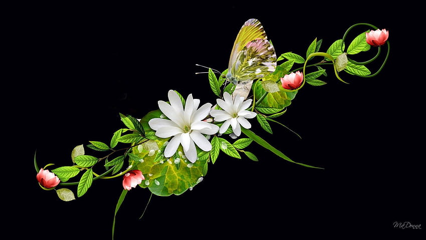 de flores abstractas con mariposas negras, resumen de mariposas fondo de pantalla