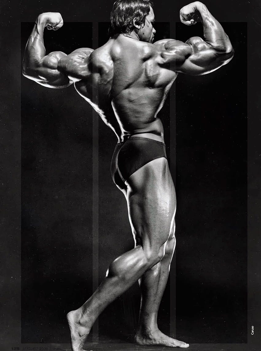 Spartan Series #55: “Champions Believe in Themselves, Even When No One Else  Does”….Frank Zane – Six Pack and Senior
