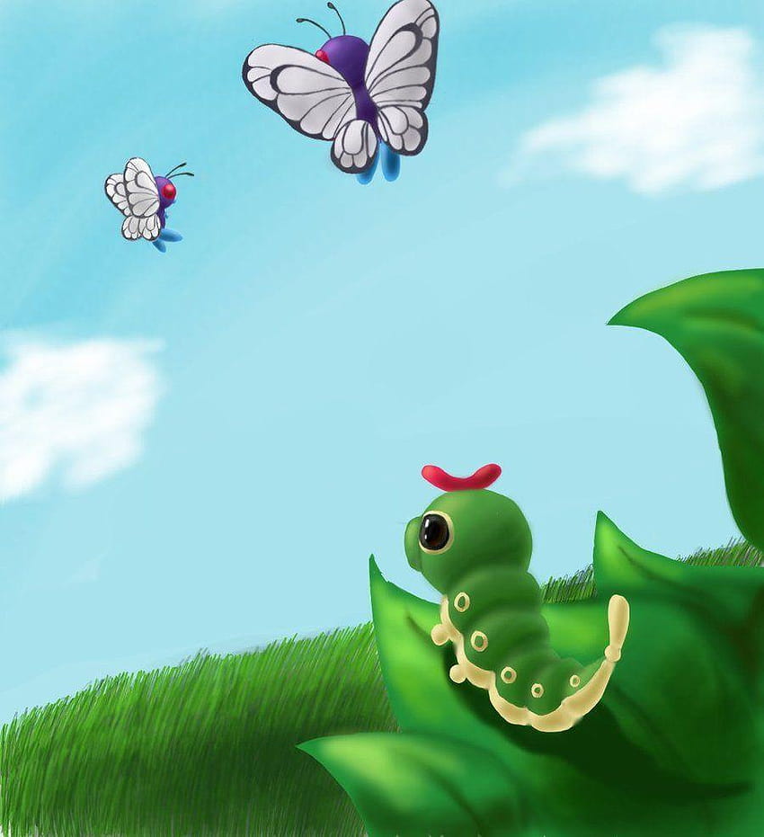 Caterpie and Butter HD phone wallpaper