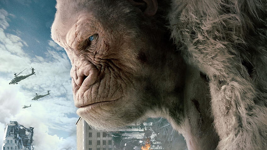 Rampage George Movie 2018 Gorilla, Gorillafilm HD-Hintergrundbild