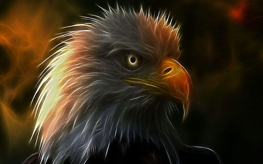 Page 2 | eagle beautiful for HD wallpapers | Pxfuel