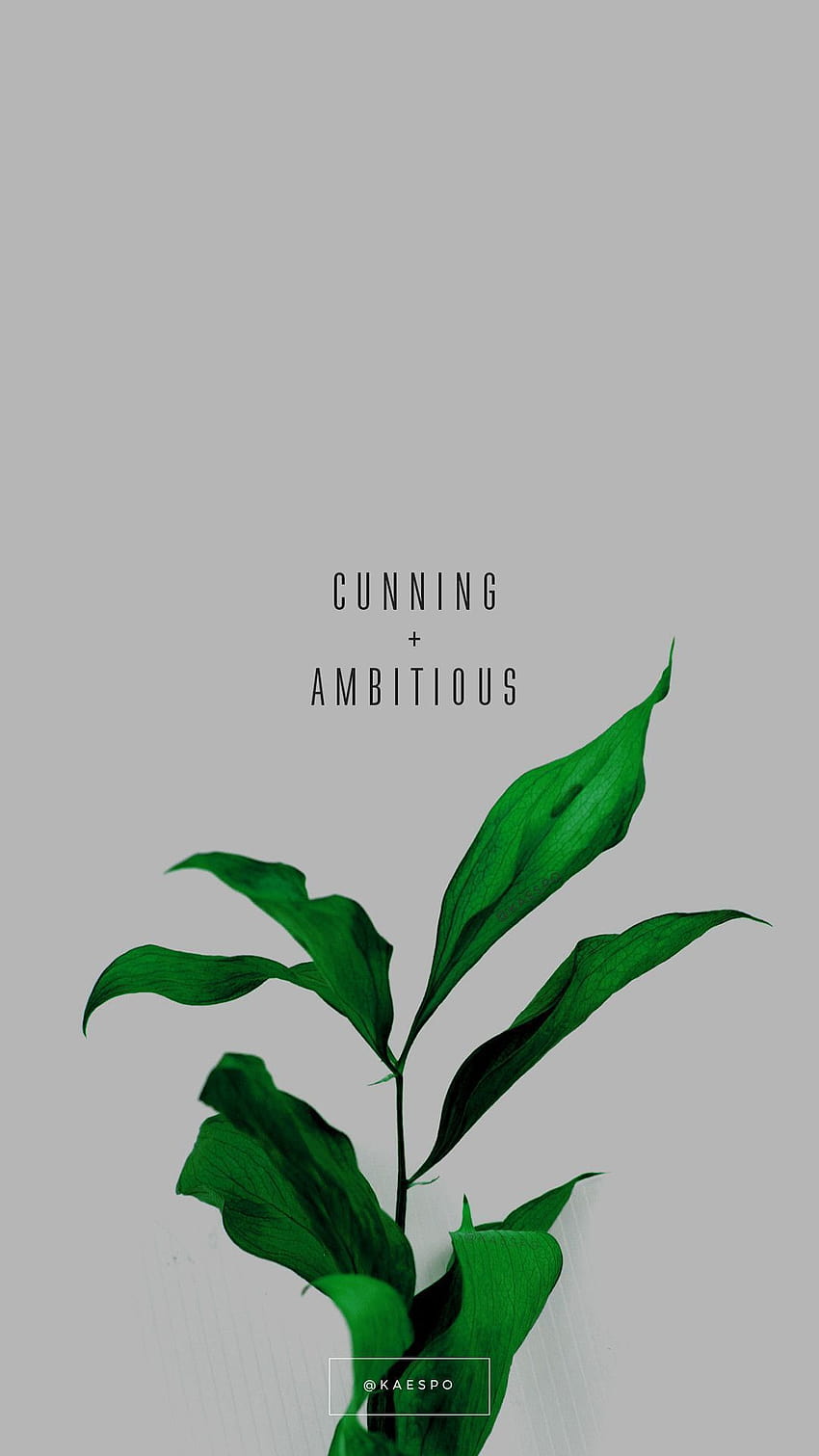 Android, iPhone, Backgrounds ...99, green aesthetic tumblr HD phone wallpaper