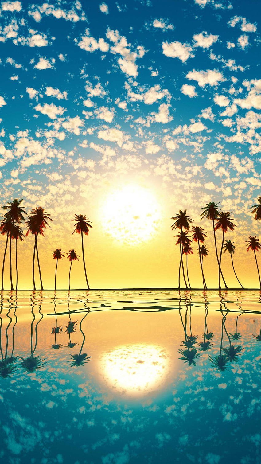 2020년 Sunset Palm Tree Cloud Sky Reflection Ultra Mobile, 야자수 반사 하늘 HD 전화 배경 화면