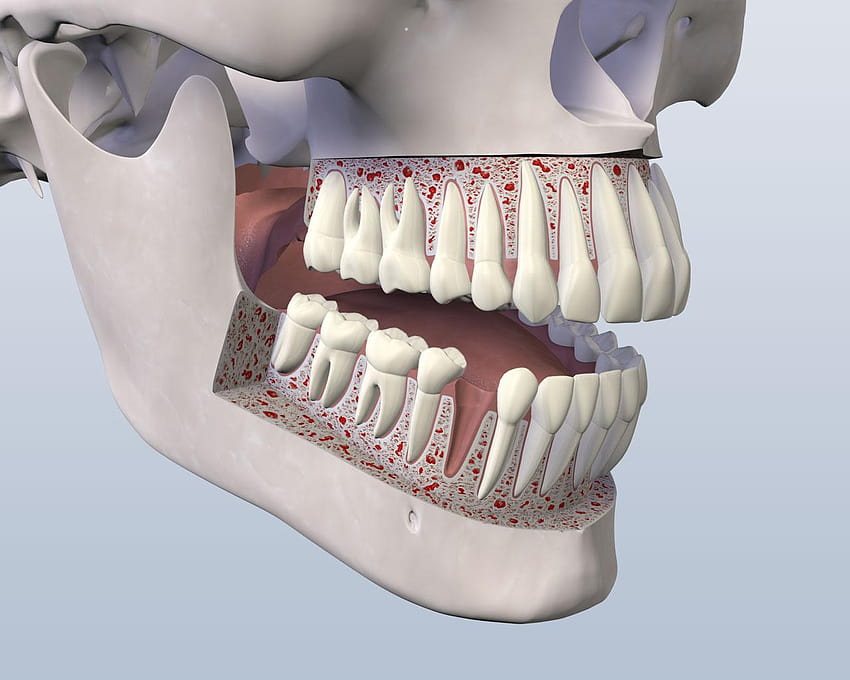 Dentysta, stomatologia Tapeta HD