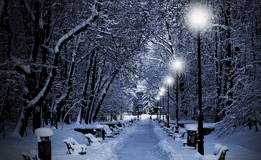 2881140 graphy nature winter trees snow bench night, bench winter HD ...