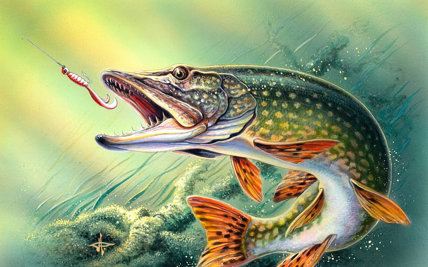 Fishing High Quality Resolution « Long, trout iphone HD wallpaper