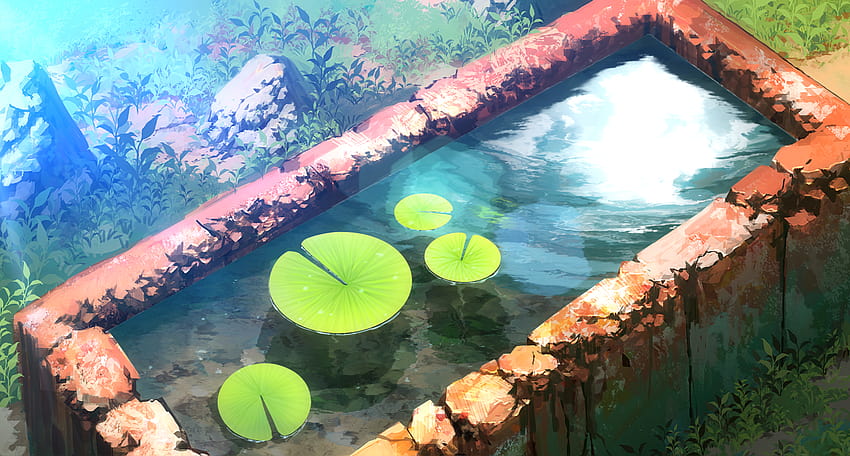 Solitary lotus pond HD wallpaper
