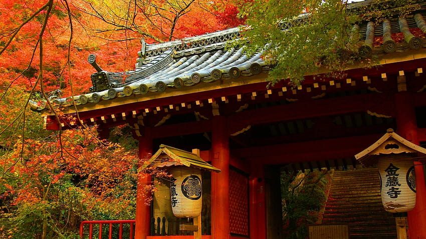 japanese, Asian, Oriental, Architecture, Buildings, Houses, Wood, Teak, Artistic, Roof, Tiles, Nature, Trees, Forest, Autumn, Fall, Seasons, Leaves, Color / and Mobile Backgrounds, asia autumn HD wallpaper
