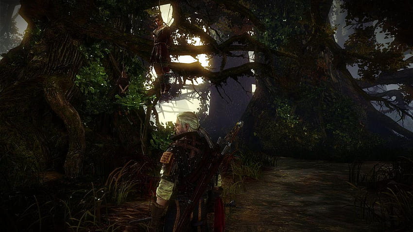 The Witcher 2 Assassins of Kings Elf Dead Bodies Hanging Tree Forest, dead forest HD wallpaper
