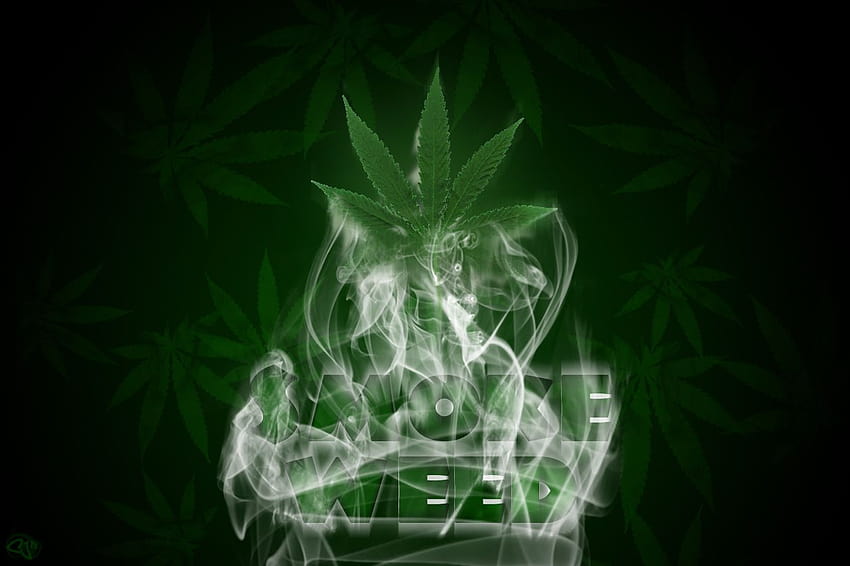 Weed • Trump, weed smoker HD wallpaper