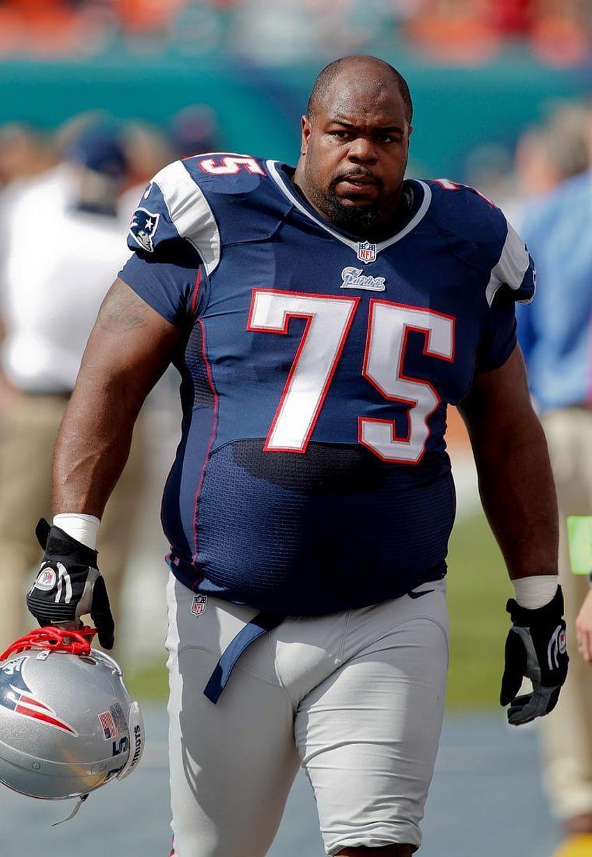NFL Playoffs Picks: Who's going to the Super Bowl?, vince wilfork HD phone wallpaper